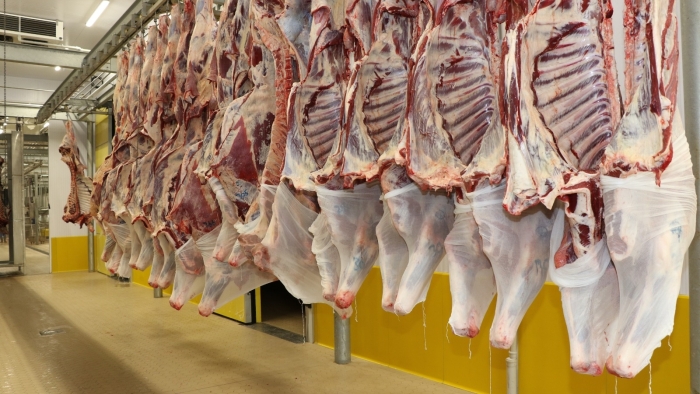 Büyükşehir Mezbahası’nda 6 bin 832 kesim yapıldı